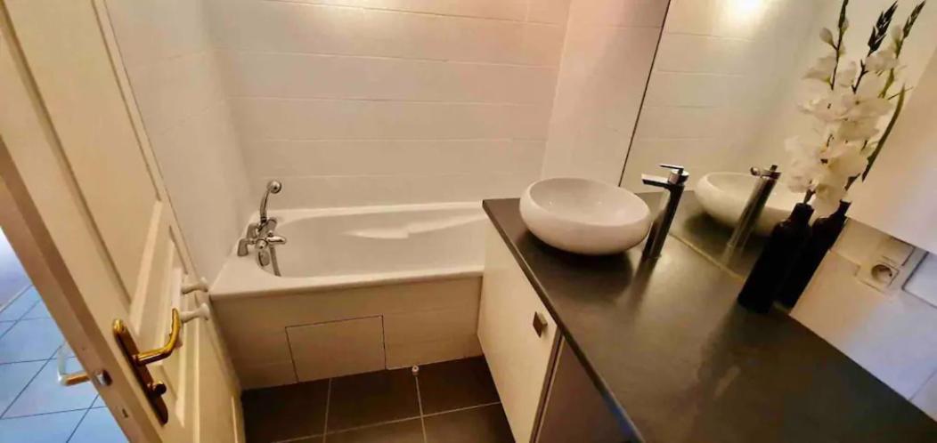 Tichnich Appartement - 2 Bedrooms - 1 Min Away From Train Station Annemasse Dış mekan fotoğraf