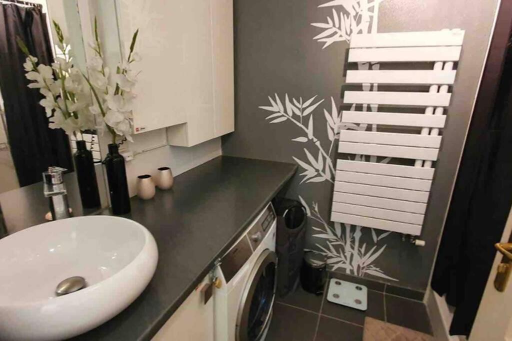 Tichnich Appartement - 2 Bedrooms - 1 Min Away From Train Station Annemasse Dış mekan fotoğraf